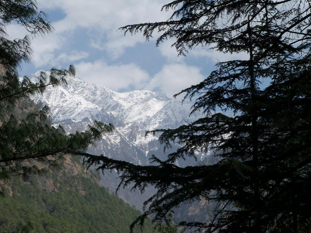 Parvati Kuteer Riverside Resort Kasol Exterior foto