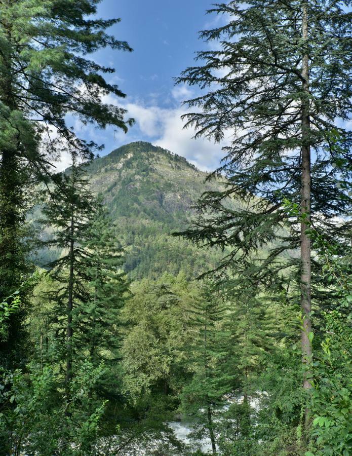 Parvati Kuteer Riverside Resort Kasol Exterior foto